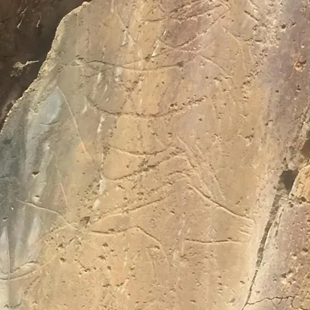 Casa Da Muralha * Vila Nova de Foz Côa