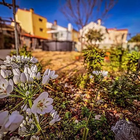Casa Da Muralha Vila Nova de Foz Côa