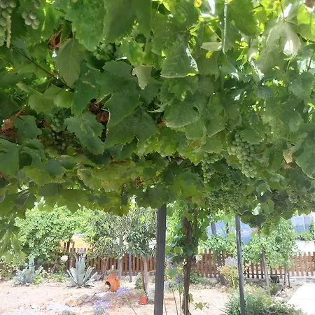 度假居 Casa Da Muralha 福什科阿新镇