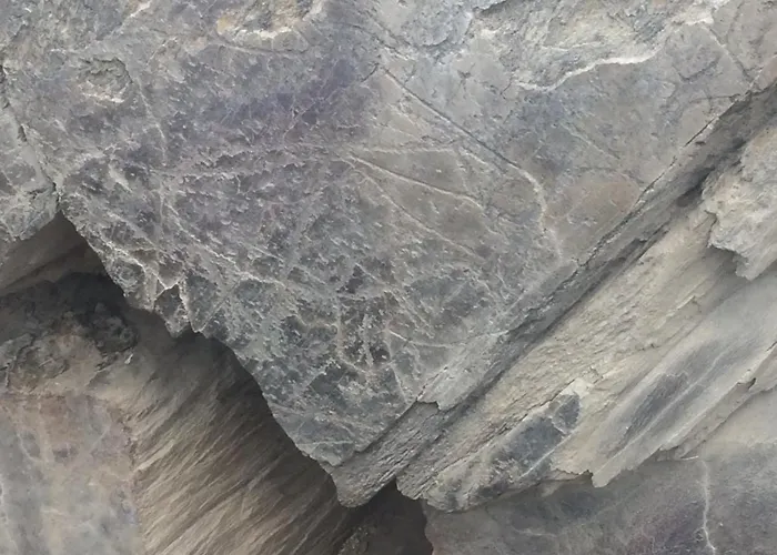 Σπίτι διακοπών Casa Da Muralha Vila Nova de Fozcoa