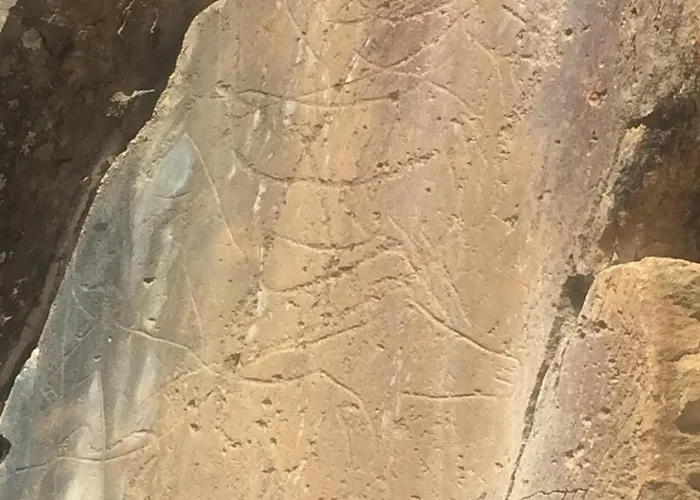 Casa Da Muralha * Vila Nova de Foz Côa