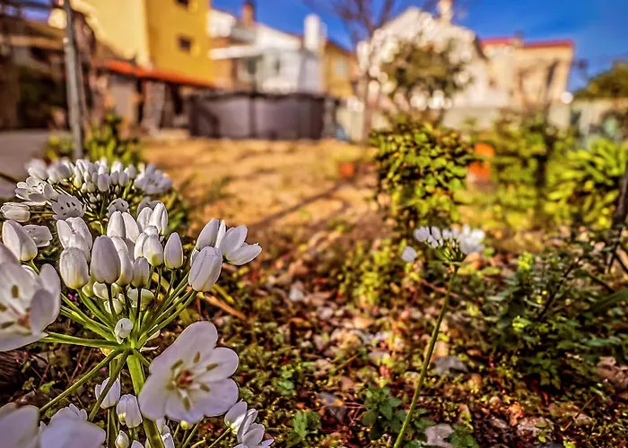 Casa Da Muralha Vila Nova de Foz Côa