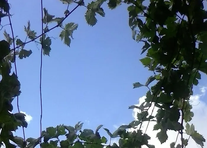 Casa Da Muralha 別荘 *